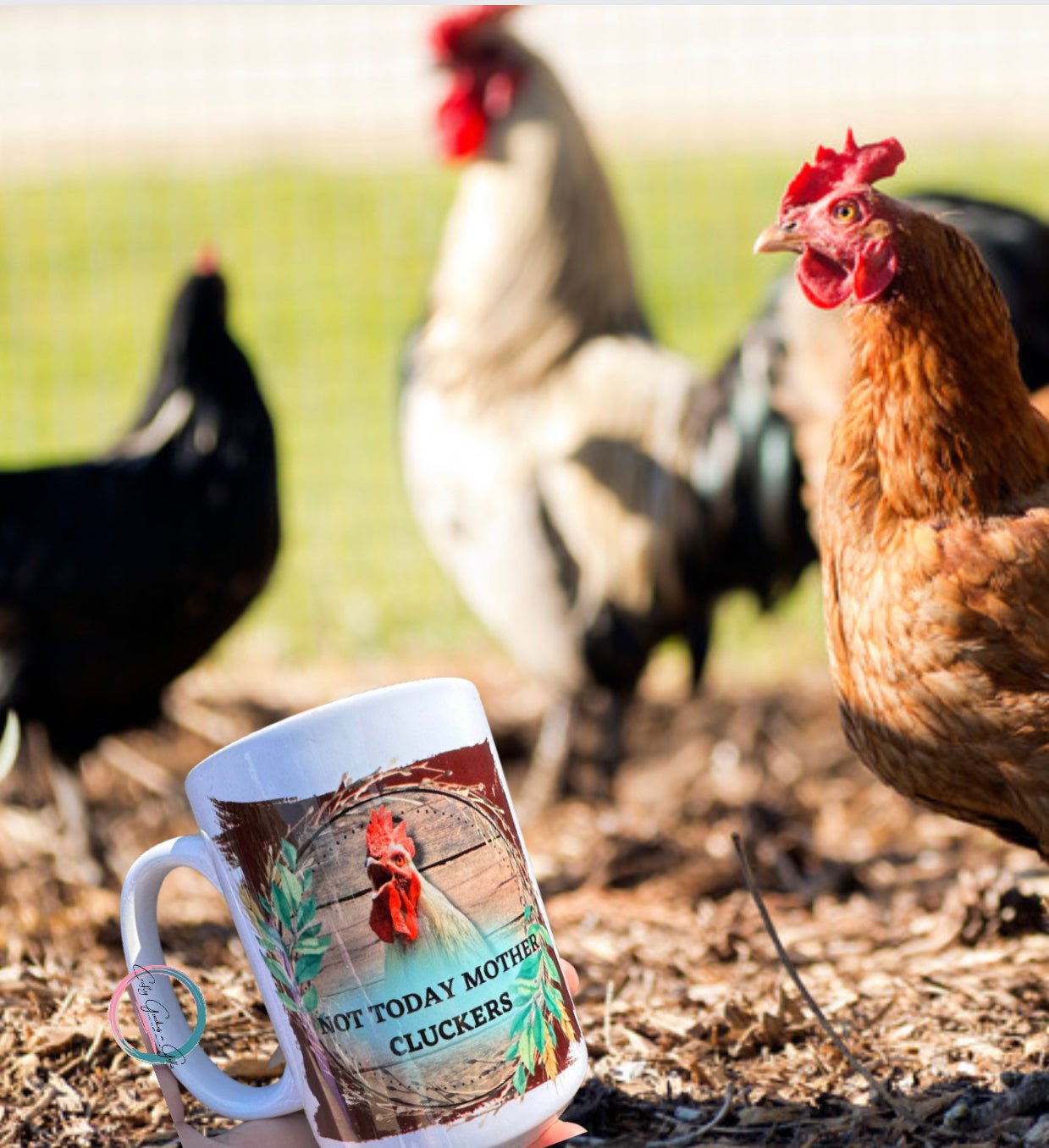 Not today Mother Clucker - Craftygoodiesngifts